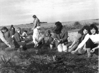 Potato sumer job (1973)