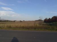 The field where Irma worked during the war